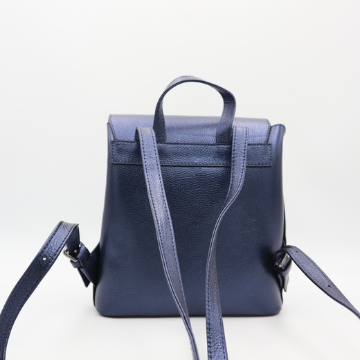 Рюкзак женский кожаный Desisan TS814-6
