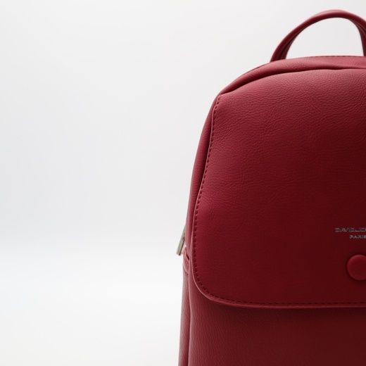 Жіночий повсякденний рюкзак з екошкіри David Jones DJ6625-2-2