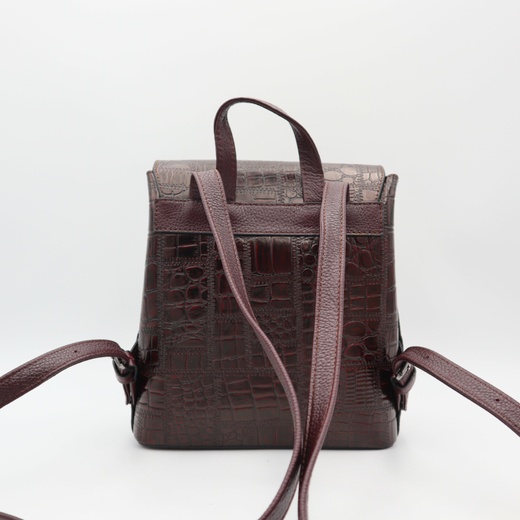 Рюкзак женский кожаный Desisan TS814-7A