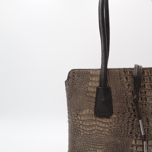Жіноча шкіряна сумка Desisan TS060-10A