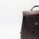 Рюкзак женский кожаный Desisan TS814-7A 4