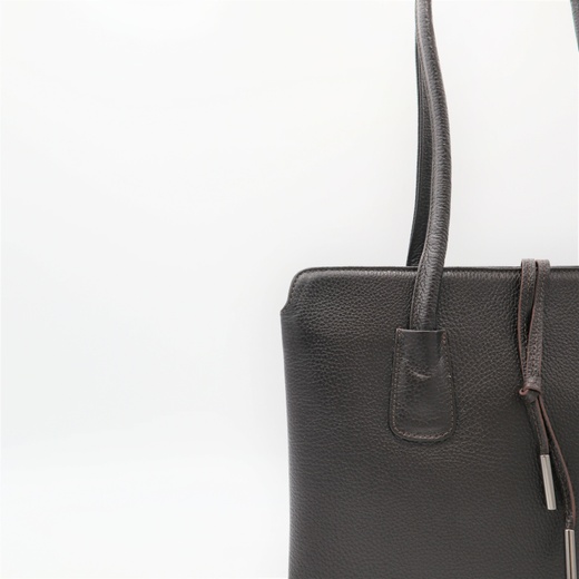 Жіноча шкіряна сумка Desisan TS060-5