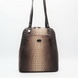 Жіноча сумка-рюкзак із натуральної шкіри Desisan TS3132-15A