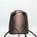 Женская сумка-рюкзак из натуральной кожи Desisan TS3132-15A 6