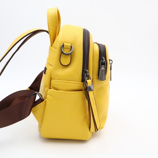Женская сумка-рюкзак Tony Bellucci BT0420-203-1