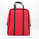 Женская сумка-рюкзак DSN4409-2 1