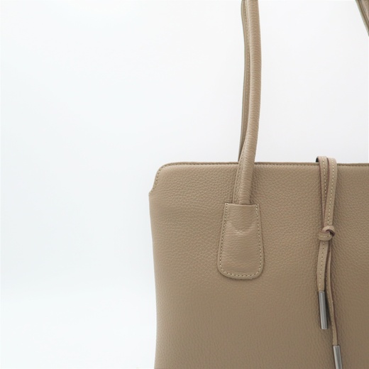 Жіноча шкіряна сумка Desisan TS060-10