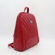 Кожаный рюкзак Roberto Tonelli R0135-2008 2